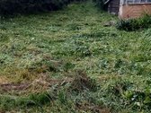 Parduodama sena autentiška rastinė sodyba. - nuotraukos Nr. 16