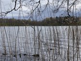 Parduodama vientisa 44,5 ha žemės ir miško - nuotraukos Nr. 4