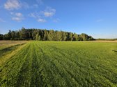 Nereali, net 200 arų namų valdos sodyba už 2k - nuotraukos Nr. 10