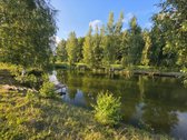 Nereali, net 200 arų namų valdos sodyba už 2k - nuotraukos Nr. 11