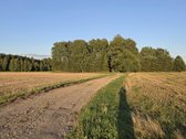 Nereali, net 200 arų namų valdos sodyba už 2k - nuotraukos Nr. 19
