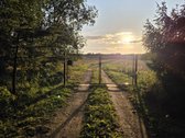 Nereali, net 200 arų namų valdos sodyba už 2k - nuotraukos Nr. 21