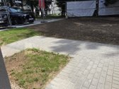 Dėmesio Akcija! - nuotraukos Nr. 20