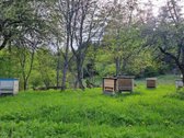 Parduodama išskirtinė teritorija su sodyba, - nuotraukos Nr. 32