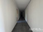 Verta Žinoti - nuotraukos Nr. 9