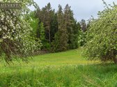 Parduodama 10,5 Ha Sodyba Su Mišku Ir Namų - nuotraukos Nr. 5