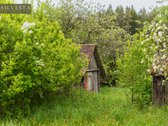 Parduodama 10,5 Ha Sodyba Su Mišku Ir Namų - nuotraukos Nr. 2