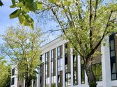 Pasinerkite į tris kartus žavesnį Naujamiestį