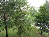 Erdvus 4 Kambarių Butas Parko G. – Patogiam - nuotraukos Nr. 11