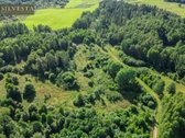Parduodamas 2,33 Ha Sklypų Masyvas Su Sodybos - nuotraukos Nr. 2