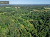 Parduodamas 2,33 Ha Sklypų Masyvas Su Sodybos - nuotraukos Nr. 4
