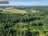 Parduodamas 2,33 Ha Sklypų Masyvas Su Sodybos - nuotraukos Nr. 6