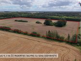 Parduodamas 9,30 ha žemės ūkio paskirties