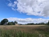 Parduodamas 9,30 ha žemės ūkio paskirties - nuotraukos Nr. 3