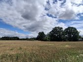 Parduodamas 9,30 ha žemės ūkio paskirties - nuotraukos Nr. 4