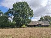 Parduodamas 9,30 ha žemės ūkio paskirties - nuotraukos Nr. 5