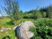 Vaizdingoje vietoje šalia Šventosios upės - nuotraukos Nr. 21