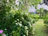 Parduodamas pilnai įrengtas mūrinis sodo - nuotraukos Nr. 10