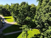 Jaukus 1 kambario butas pilnai renovuotame - nuotraukos Nr. 9