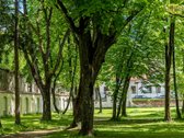 Artimajame Antakalnyje, vos 10 minučių iki - nuotraukos Nr. 26