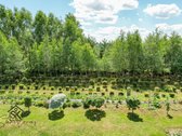 Parduodamas Namas Su 55,62 A Sklypu - nuotraukos Nr. 35