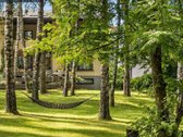 Pažvelgsite į savo ošiantį beržynėlį. - nuotraukos Nr. 11