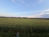 Parduodami 11 ir 12 arų namų valdos sklypai - nuotraukos Nr. 5