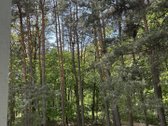 Parduodamas 3 kambarių butas unikalioje - nuotraukos Nr. 21