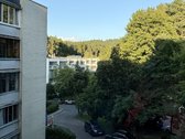 Jaunai porai arba šeimai gražioje vietoje, - nuotraukos Nr. 5