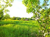 Tvarkinga Sodyba Su Ežero Pakrante, Tvenkiniu - nuotraukos Nr. 25