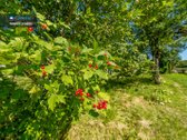 Žadžių k., Širvintų r. sav., parduodamas 0 - nuotraukos Nr. 12