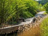 Dėmesio! Speciali vasaros kaina 2–6 aukštų - nuotraukos Nr. 18