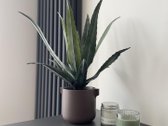 Parduodamas labai šviesus, jaukus, kapitaliai - nuotraukos Nr. 2
