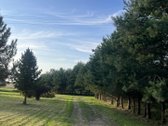 Sodyba 8 km. nuo Kupiškio miesto. Vienkiemis. - nuotraukos Nr. 12