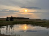 Sodyba 8 km. nuo Kupiškio miesto. Vienkiemis. - nuotraukos Nr. 13