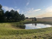 Sodyba 8 km. nuo Kupiškio miesto. Vienkiemis. - nuotraukos Nr. 14
