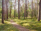 Nemenčinės plente, Miškonyse – uždaroje, - nuotraukos Nr. 56