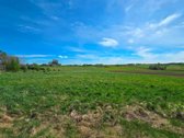 Parduodamas 1,7784 Ha Namų Valdos Sklypas - nuotraukos Nr. 5