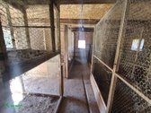 Parduodama Rąstinė Sodyba Su Tvenkiniu Biržų - nuotraukos Nr. 15