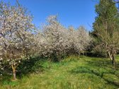 Parduodama Rąstinė Sodyba Su Tvenkiniu Biržų - nuotraukos Nr. 16