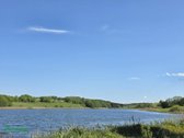 Parduodamas erdvus ir lygus 1,13 ha žemės - nuotraukos Nr. 4