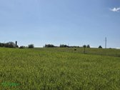 Parduodamas erdvus ir lygus 1,13 ha žemės - nuotraukos Nr. 5