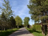 Ieškote vietos, kur ramybė, gamta ir patogus - nuotraukos Nr. 21