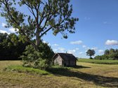 Parduodama Sodyba Su 3,1068 Ha Žemės Sklypu - nuotraukos Nr. 11