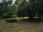 *Parduodamas namas miesto centre – puiki - nuotraukos Nr. 75