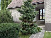 Erdvūs namai vienoje patogiausių Molėtų vietų - nuotraukos Nr. 12