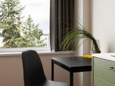 Nuomojama Visiškai Naujai Įrengta 1 Kambario - nuotraukos Nr. 9