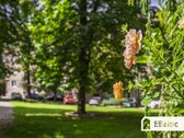 Erdvus, puikaus išdėstymo butas su vaizdais į - nuotraukos Nr. 39