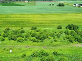 Parduodamas 12 a. sklypas, Mitkūnų k., Kauno r. - nuotraukos Nr. 7