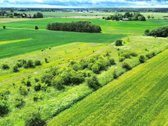 Parduodamas 12 a. sklypas, Mitkūnų k., Kauno r. - nuotraukos Nr. 11
